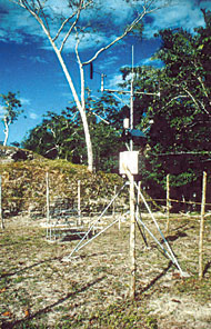 Conservation Image
