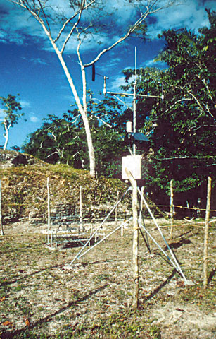 Conservation Image