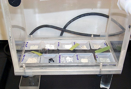 Conservation image