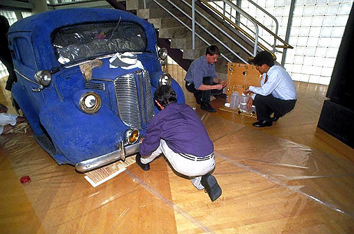 Conservation image