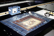 Conservation image