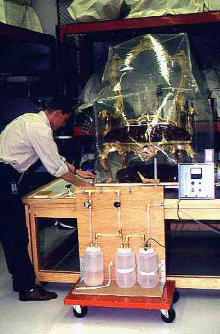 Conservation image