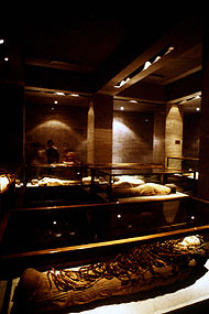 Conservation image