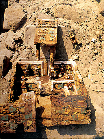 conservation image