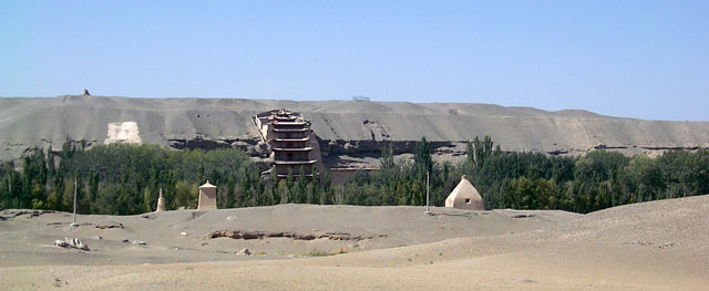 conservation image