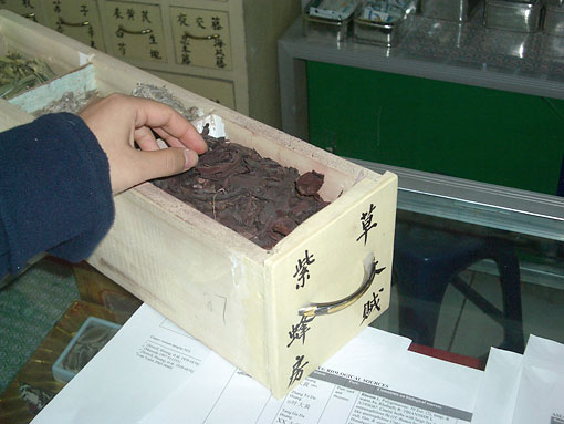 conservation image