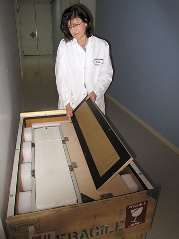 conservation image