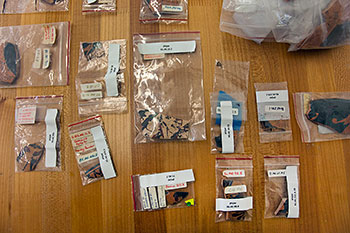 sherd fragments for study