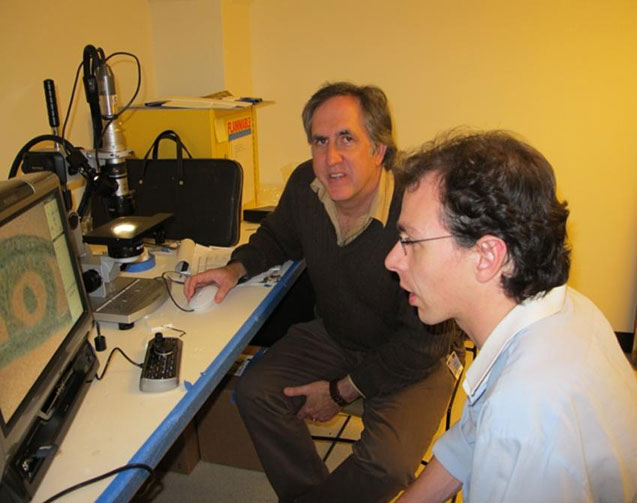 conservators using a 3-D microscope