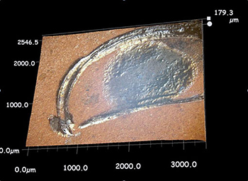 3-D image of a line on Athenian sherd