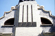 Conservation image