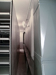 Conservation image