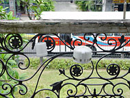Conservation image