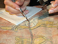 Conservation image
