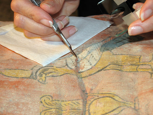 Conservation image