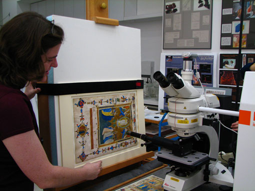 Conservation image