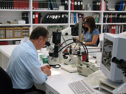 Conservation image