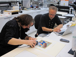 using reflection spectrophotometry