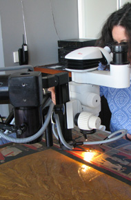 XRF analysis