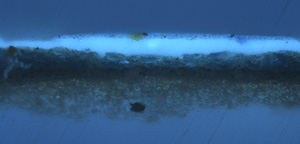cross-section under UV light