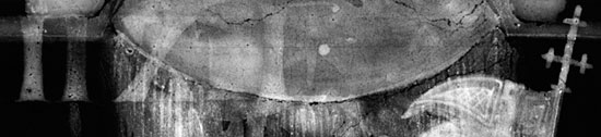 x-ray detail