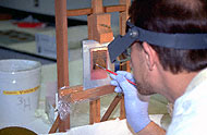 Conservation image