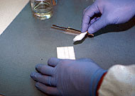 Conservation image