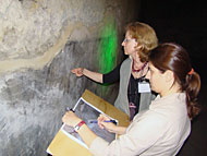 conservation image