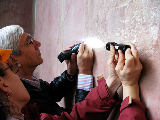 conservation image