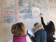 conservation survey of wall paintings