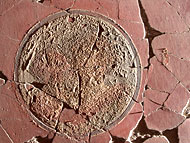detail of Herculaneum wall painting