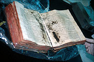 Conservation image