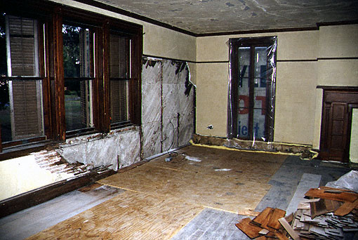 Conservation image