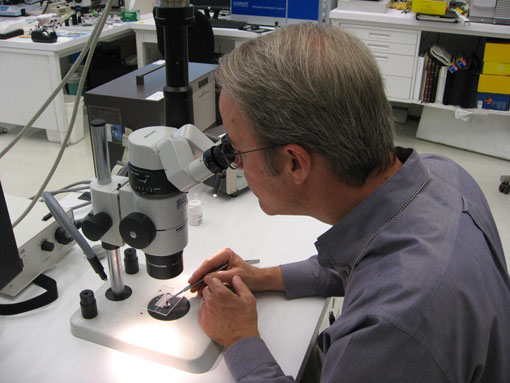 conservation image