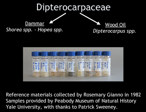 conservation image