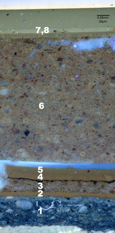 conservation image