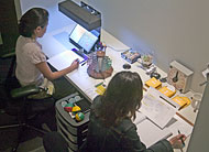 conservation image