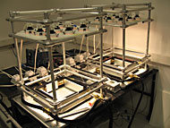 conservation image