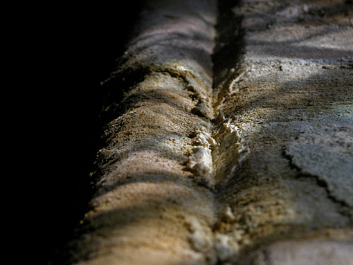 Conservation image