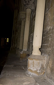 Conservation image