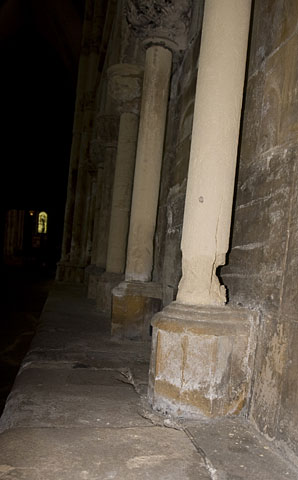 Conservation image