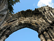 Conservation image