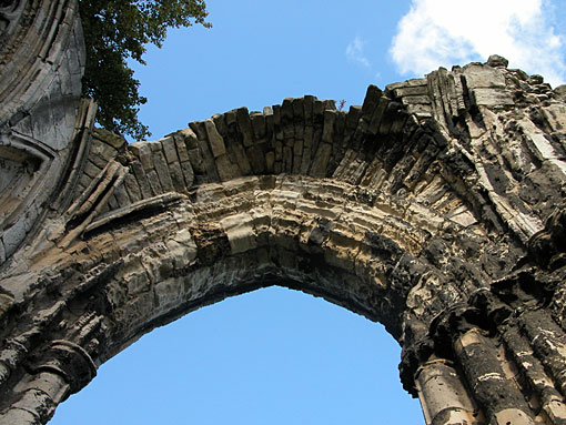 Conservation image