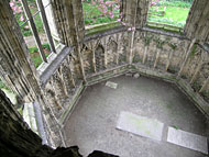 Conservation image