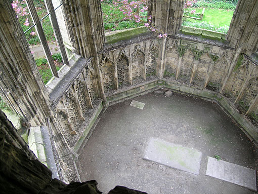 Conservation image