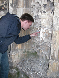 Conservation image