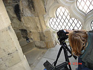 Conservation image