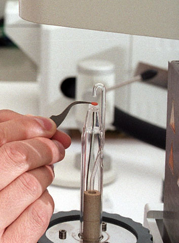 conservation image
