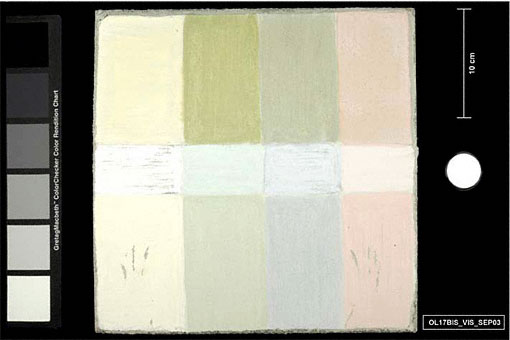 conservation image
