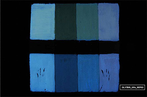 conservation image
